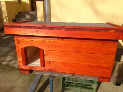 Psia búda odtieň teak Psia búda odtieň teak